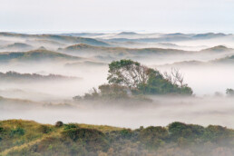 Lagen mist tussen duinhellingen tijdens zonsopkomst in duinen van Albertdal & Soeckebacker bij Egmond aan Zee | © Ronald van Wijk Fotografie