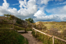 Trap naar uitkijkduin De Kaap in de duinen van het Albertdal bij Egmond aan Zee | © Ronald van Wijk Fotografie