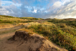 Zanderige duinhelling in het landschap van Reggers Sandervlak bij Egmond-Binnen | © Ronald van Wijk Fotografie