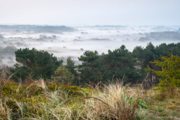 Uitzicht op landschap met mistlaagjes vanaf uitkijkduin De Kaap in duinen van Albertdal & Soeckebacker bij Egmond aan Zee | © Ronald van Wijk Fotografie