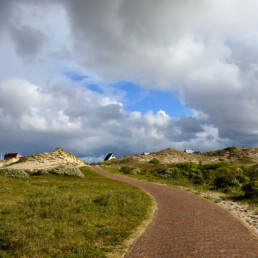 Het fietspad Woudweg kan op zomerse dagen erg druk zijn, maar op de wandelpaden van het Zuiderachterveld is het altijd rustig | © Ronald van Wijk Fotografie
