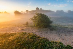 Zonsopkomst in de duinen van Diederik bij Egmond-Binnen | © Ronald van Wijk Fotografie