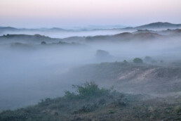 Zonsopkomst in de duinen van het Vogelduin bij Castricum aan Zee | © Ronald van Wijk Fotografie