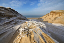 Rijp op zand en helmgras na een koude nacht in het Gat van Heemskerk | © Ronald van Wijk Fotografie