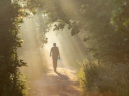 Langs de bosrand van Duinweide loopt een heerlijk wandelpad. Op vroege ochtenden in de zomer heb je het gebied helemaal voor jezelf | © Ronald van Wijk Fotografie