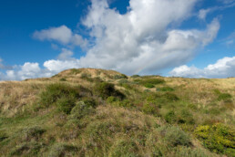 Regenboog boven grassen en struweel aan de achterzijde van het paraboolduin in de duinen van Heemskerk | © Ronald van Wijk Fotografie