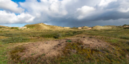 Na de brand in de duinen van Heemskerk is een fris en open duinlandschap ontstaan met veel open, zanderige plekken en lage begroeiing | © Ronald van Wijk Fotografie