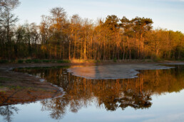 In de winter wordt een deel van de landjes op Duinweide gebruikt om water uit de duinen op te vangen | © Ronald van Wijk Fotografie