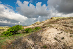 Zanderige duinhellingen in de duinen van De Rellen bij Wijk aan Zee | © Ronald van Wijk Fotografie