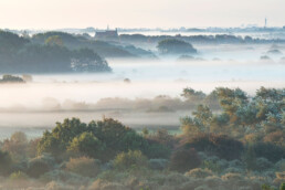 Zicht op De Bleek vanaf uitkijkduin tijdens mistige zonsopkomst in de duinen bij Egmond-Binnen | © Ronald van Wijk Fotografie