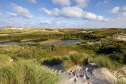 Uitzicht op natte valleien in de Wimmenummerduinen bij Egmond aan Zee | © Ronald van Wijk Fotografie