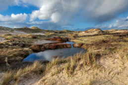 Natte vallei in de zeereep van de Wimmenummerduinen bij Egmond aan Zee | © Ronald van Wijk Fotografie