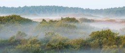 Vroeg opstaan loont altijd de moeite. Vooral na een koude windstille nacht en er mooie mistlagen te zien zijn tijdens zonsopkomst | © Ronald van Wijk Fotografie