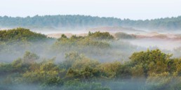 Vroeg opstaan loont altijd de moeite. Vooral na een koude windstille nacht en er mooie mistlagen te zien zijn tijdens zonsopkomst | © Ronald van Wijk Fotografie