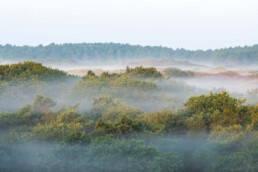 Vroeg opstaan loont altijd de moeite. Vooral na een koude windstille nacht en er mooie mistlagen te zien zijn tijdens zonsopkomst | © Ronald van Wijk Fotografie