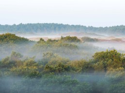 Vroeg opstaan loont altijd de moeite. Vooral na een koude windstille nacht en er mooie mistlagen te zien zijn tijdens zonsopkomst | © Ronald van Wijk Fotografie