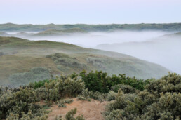 Uitzicht vanaf een duintop op de kale duinhellingen van het Vogelduin vlakbij Castricum aan Zee | © Ronald van Wijk Fotografie