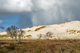 Regen valt neer uit grote wolk boven het blinkende zand van het stuifduin in het Buizerdvlak | © Ronald van Wijk Fotografie