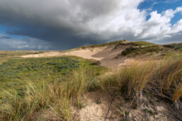 Uitzicht op het grote paraboolduin van de Duivelshoek in de duinen van Heemskerk | © Ronald van Wijk Fotografie