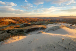 Glooiende duinhellingen met eikenbos en stuifduinen in de Meeuwenlekken ten zuiden van Bergen aan Zee | © Ronald van Wijk Fotografie