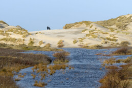 De Kerf is een populaire plek voor wandelaars, mountainbikers en paardrijders. Wie van rust houdt, bezoekt het gebied in de vroege ochtend of avond | © Ronald van Wijk Fotografie