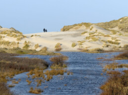 De Kerf is een populaire plek voor wandelaars, mountainbikers en paardrijders. Wie van rust houdt, bezoekt het gebied in de vroege ochtend of avond | © Ronald van Wijk Fotografie