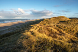 Vanuit het heideveld Tjalkhoek is de oversteek naar strand en zee snel gemaakt | © Ronald van Wijk Fotografie