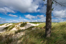De zandduinen van de Baaknol zijn een groot speelterrein waar je óók als natuurliefhebber en fotograaf plezier zal vinden | © Ronald van Wijk Fotografie