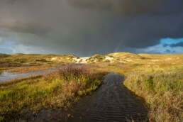 In de winter staan De Kerf & Parnassiavallei vaak grotendeels onder water en is het wandelpad in het midden onbegaanbaar | © Ronald van Wijk Fotografie