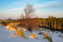 Bovenop de grote zandduinen heb je mooi uitzicht op de omgeving en kun je 's ochtends vroeg genieten van het eerste zonlicht | © Ronald van Wijk Fotografie