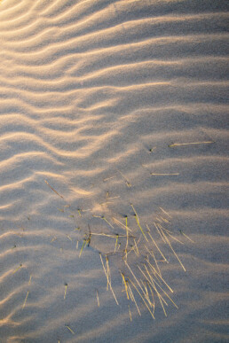 Rond de zandduinen bij de doorgang van De Kerf kun je goed zandpatronen fotograferen | © Ronald van Wijk Fotografie