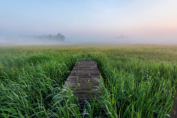 Bruggetje over sloot tijdens mistige zonsopkomst in de weilanden van het Zeerijdtsdijkje bij Bakkum | © Ronald van Wijk Fotografie