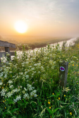Routepaaltje met paars pijltje tijdens een mistige zonsopkomst in het Zeerijdtsdijkje | © Ronald van Wijk Fotografie
